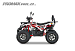 PROMAX WILD 2.0 190 PRO (2025)